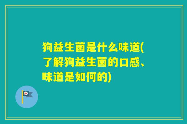 狗益生菌是什么味道(了解狗益生菌的口感、味道是如何的)