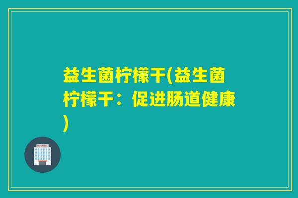 益生菌柠檬干(益生菌柠檬干：促进肠道健康)
