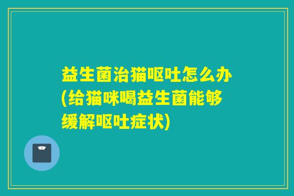 益生菌猫怎么办(给猫咪喝益生菌能够缓解症状)