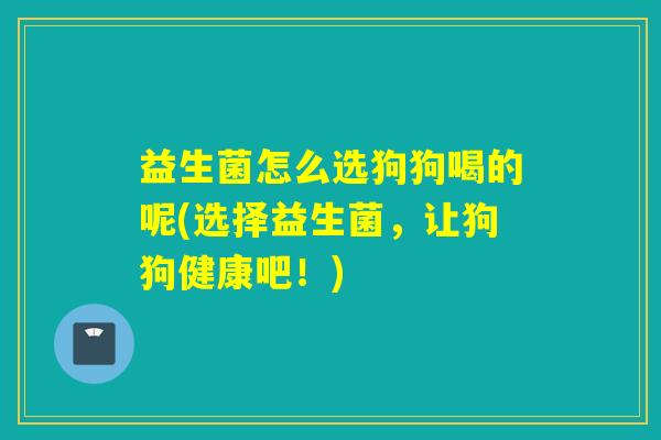 益生菌怎么选狗狗喝的呢(选择益生菌，让狗狗健康吧！)