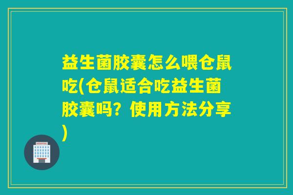 益生菌胶囊怎么喂仓鼠吃(仓鼠适合吃益生菌胶囊吗？使用方法分享)