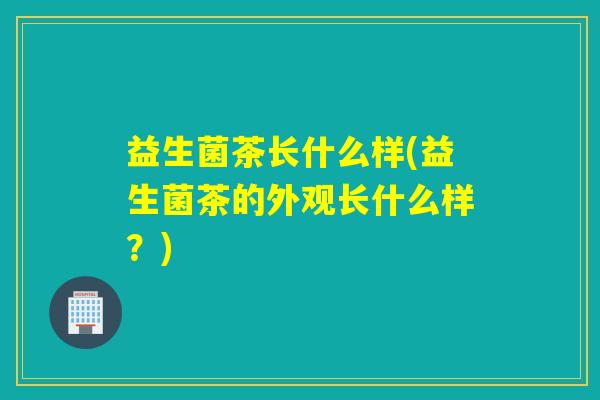 益生菌茶长什么样(益生菌茶的外观长什么样？)