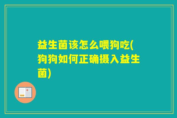 益生菌该怎么喂狗吃(狗狗如何正确摄入益生菌)