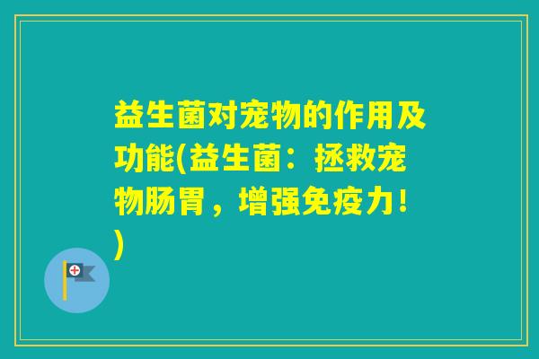 益生菌对宠物的作用及功能(益生菌:拯救宠物肠胃,增强力!) 益生菌对宠物的作用及功能(益生菌:拯救宠物肠胃,增强力!)
