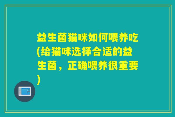 益生菌猫咪如何喂养吃(给猫咪选择合适的益生菌，正确喂养很重要)