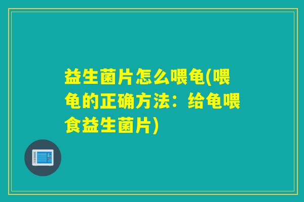 益生菌片怎么喂龟(喂龟的正确方法：给龟喂食益生菌片)