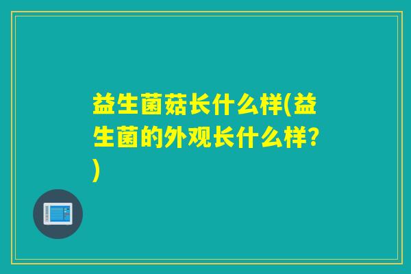 益生菌菇长什么样(益生菌的外观长什么样？)