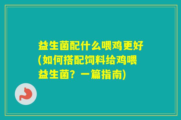益生菌配什么喂鸡更好(如何搭配饲料给鸡喂益生菌？一篇指南)