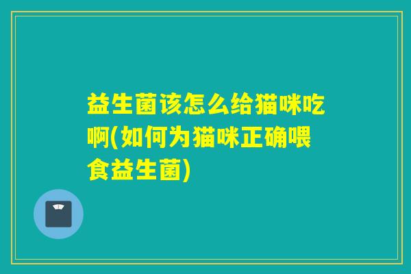 益生菌该怎么给猫咪吃啊(如何为猫咪正确喂食益生菌) 益生菌该怎么给猫咪吃啊(如何为猫咪正确喂食益生菌)
