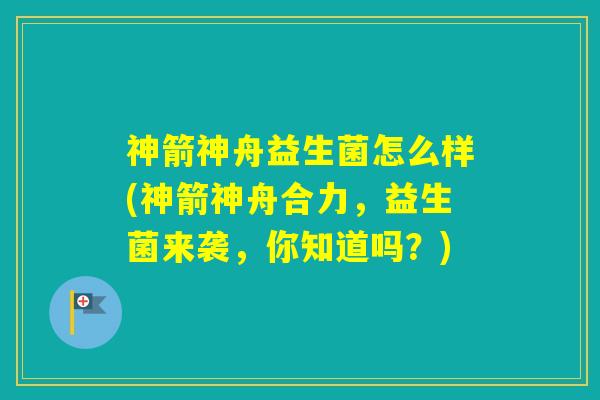 神箭神舟益生菌怎么样(神箭神舟合力，益生菌来袭，你知道吗？)