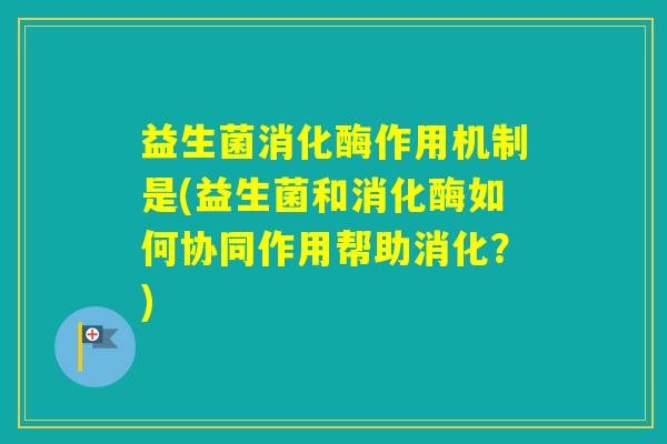 益生菌消化酶作用机制是(益生菌和消化酶如何协同作用帮助消化？)