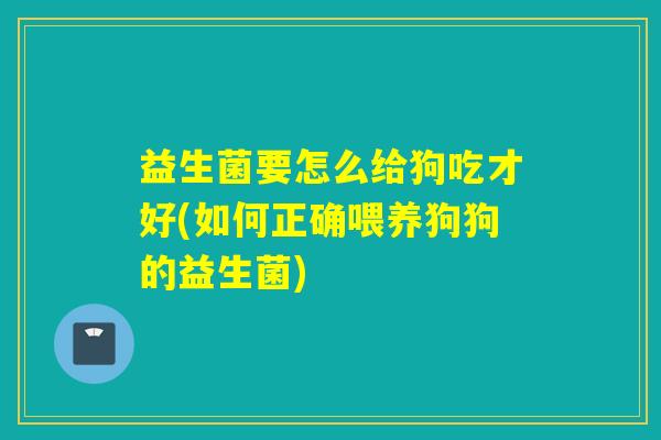 益生菌要怎么给狗吃才好(如何正确喂养狗狗的益生菌)