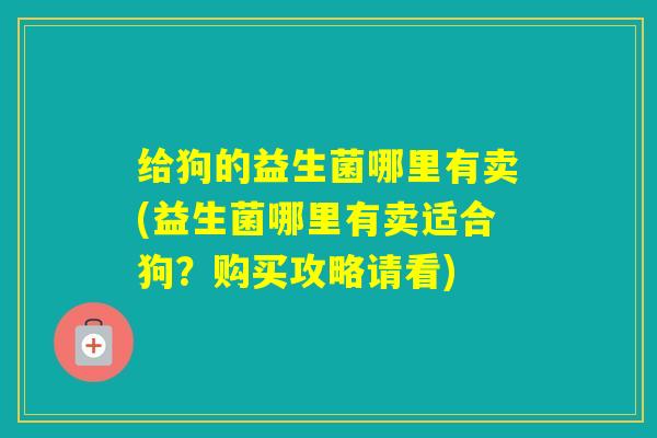 给狗的益生菌哪里有卖(益生菌哪里有卖适合狗？购买攻略请看)