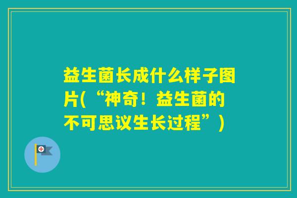 益生菌长成什么样子图片(“神奇！益生菌的不可思议生长过程”)