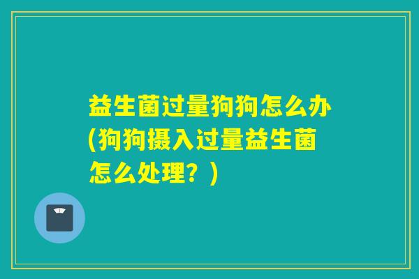 益生菌过量狗狗怎么办(狗狗摄入过量益生菌怎么处理?) 益生菌过量狗狗怎么办(狗狗摄入过量益生菌怎么处理?)