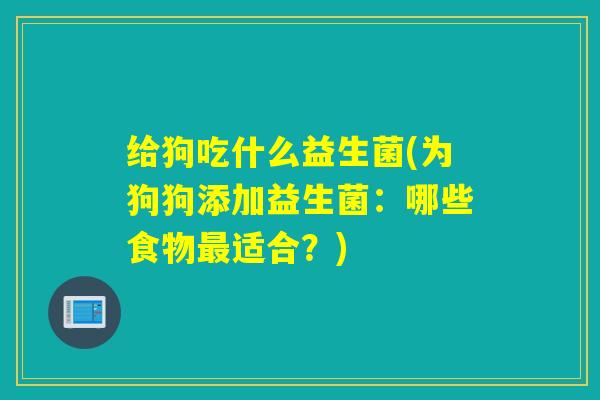 给狗吃什么益生菌(为狗狗添加益生菌：哪些食物适合？)