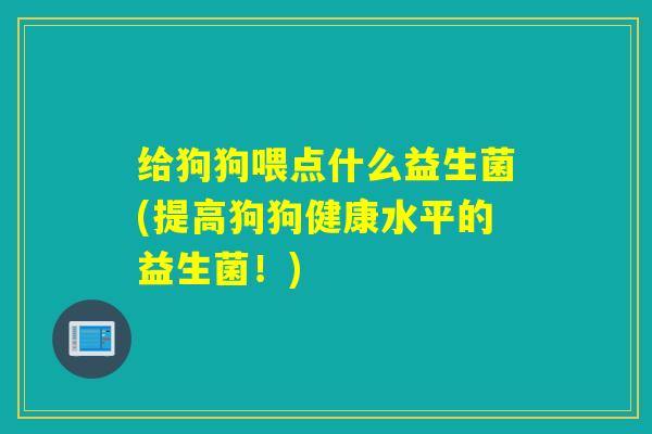 给狗狗喂点什么益生菌(提高狗狗健康水平的益生菌！)