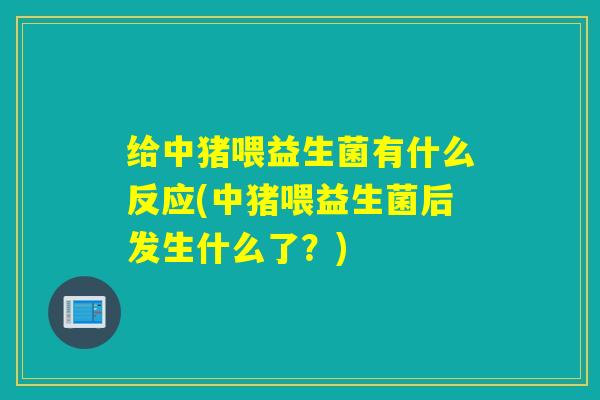 给中猪喂益生菌有什么反应(中猪喂益生菌后发生什么了？)