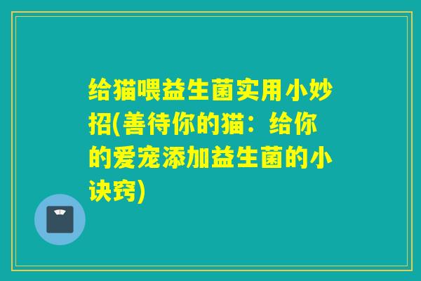 给猫喂益生菌实用小妙招(善待你的猫：给你的爱宠添加益生菌的小诀窍)
