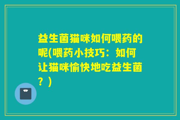 益生菌猫咪如何喂药的呢(喂药小技巧：如何让猫咪愉快地吃益生菌？)