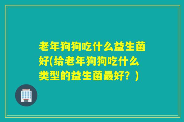 老年狗狗吃什么益生菌好(给老年狗狗吃什么类型的益生菌好？)