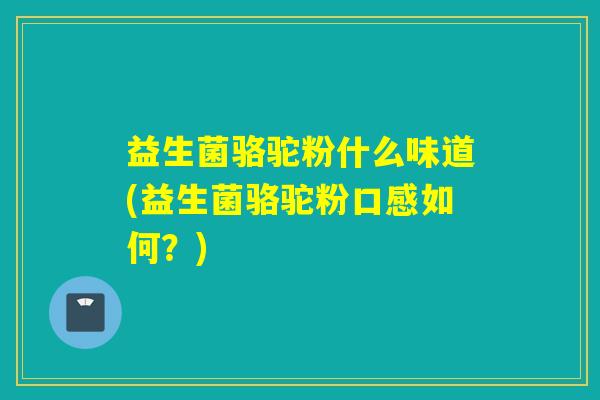 益生菌骆驼粉什么味道(益生菌骆驼粉口感如何？)