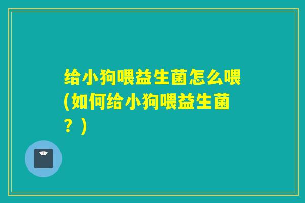给小狗喂益生菌怎么喂(如何给小狗喂益生菌?) 给小狗喂益生菌怎么喂(如何给小狗喂益生菌?)