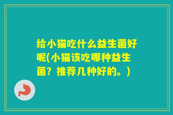 给小猫吃什么益生菌好呢(小猫该吃哪种益生菌？推荐几种好的。)