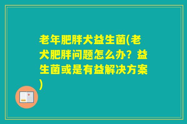 老年犬益生菌(老犬问题怎么办？益生菌或是有益解决方案)