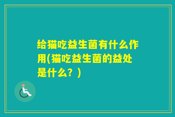 给猫吃益生菌有什么作用(猫吃益生菌的益处是什么？)
