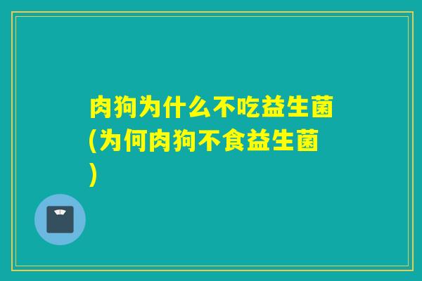肉狗为什么不吃益生菌(为何肉狗不食益生菌) 肉狗为什么不吃益生菌(为何肉狗不食益生菌)