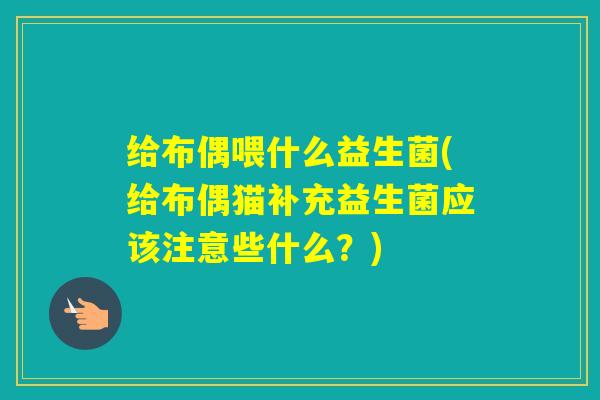给布偶喂什么益生菌(给布偶猫补充益生菌应该注意些什么?) 给布偶喂什么益生菌(给布偶猫补充益生菌应该注意些什么?)