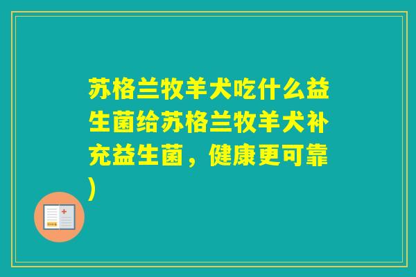 苏格兰牧羊犬吃什么益生菌给苏格兰牧羊犬补充益生菌,健康更可靠) 苏格兰牧羊犬吃什么益生菌给苏格兰牧羊犬补充益生菌,健康更可靠)