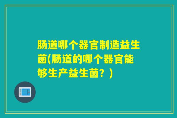 肠道哪个器官制造益生菌(肠道的哪个器官能够生产益生菌？)
