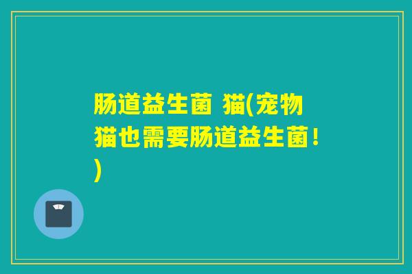 肠道益生菌 猫(宠物猫也需要肠道益生菌！)