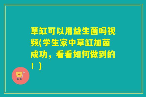草缸可以用益生菌吗视频(学生家中草缸加菌成功，看看如何做到的！)