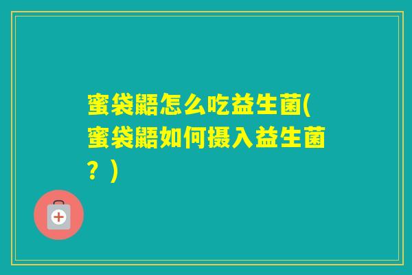 蜜袋鼯怎么吃益生菌(蜜袋鼯如何摄入益生菌?) 蜜袋鼯怎么吃益生菌(蜜袋鼯如何摄入益生菌?)