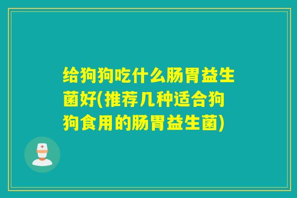 给狗狗吃什么肠胃益生菌好(推荐几种适合狗狗食用的肠胃益生菌)