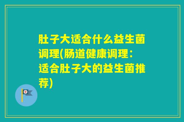 肚子大适合什么益生菌调理(肠道健康调理：适合肚子大的益生菌推荐)