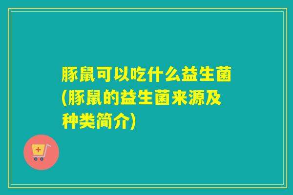 豚鼠可以吃什么益生菌(豚鼠的益生菌来源及种类简介)