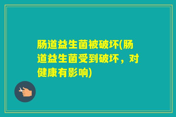 肠道益生菌被破坏(肠道益生菌受到破坏,对健康有影响) 肠道益生菌被破坏(肠道益生菌受到破坏,对健康有影响)