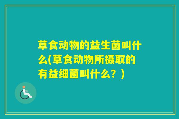草食动物的益生菌叫什么(草食动物所摄取的有益叫什么?) 草食动物的益生菌叫什么(草食动物所摄取的有益叫什么?)