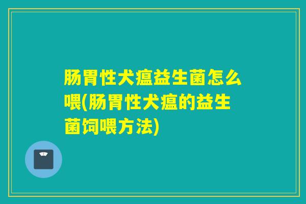 肠胃性犬瘟益生菌怎么喂(肠胃性犬瘟的益生菌饲喂方法) 肠胃性犬瘟益生菌怎么喂(肠胃性犬瘟的益生菌饲喂方法)