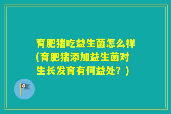 育肥猪吃益生菌怎么样(育肥猪添加益生菌对生长发育有何益处？)