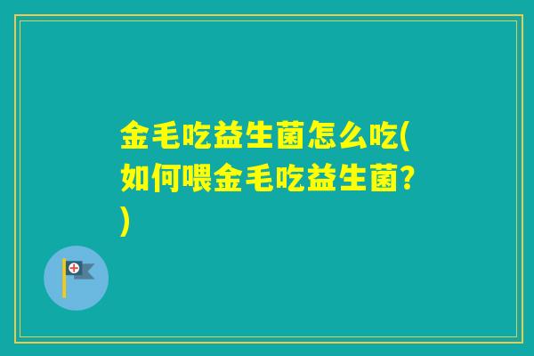 金毛吃益生菌怎么吃(如何喂金毛吃益生菌？)