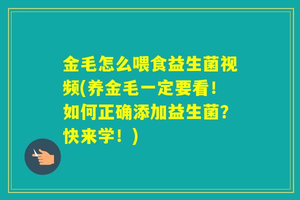 金毛怎么喂食益生菌视频(养金毛一定要看！如何正确添加益生菌？快来学！)