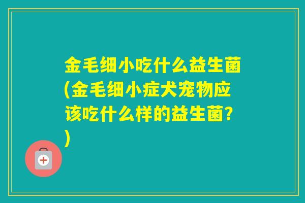 金毛细小吃什么益生菌(金毛细小症犬宠物应该吃什么样的益生菌？)
