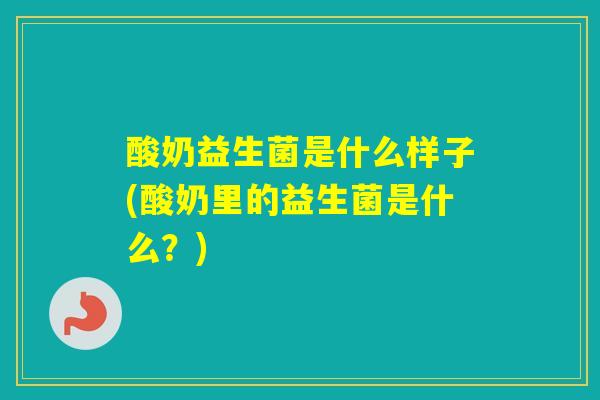 酸奶益生菌是什么样子(酸奶里的益生菌是什么?) 酸奶益生菌是什么样子(酸奶里的益生菌是什么?)