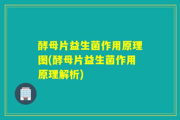 酵母片益生菌作用原理图(酵母片益生菌作用原理解析)