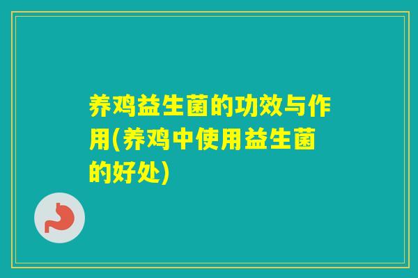 养鸡益生菌的功效与作用(养鸡中使用益生菌的好处)